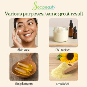 Bouteille de 240 ml d'huile de lécithine de tournesol