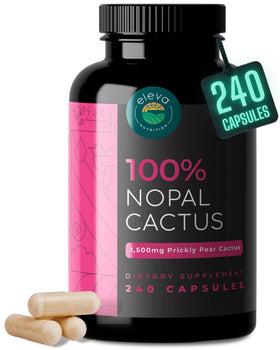 Bouteille de capsules de cactus nopal Eleva Nutrition, 240 unités