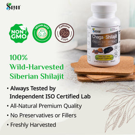 Bouteille de capsules de champignon Chaga Sayan avec étiquette
