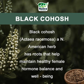 Bouteille de capsules de Cimicifuga NutraNourish sur fond blanc