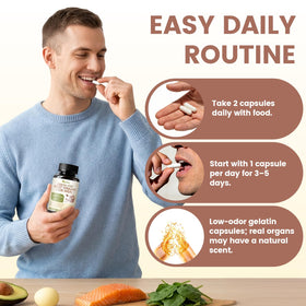 Bouteille de capsules de foie de boeuf HOLINFRE avec des ingrédients naturels