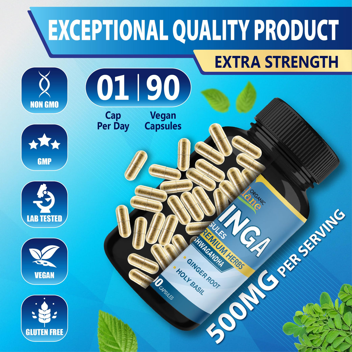 Bouteille de capsules de Moringa Organic Cadane ouverte avec capsules visibles