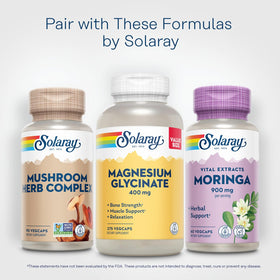 Bouteille de capsules de Moringa SOLARAY sur un comptoir
