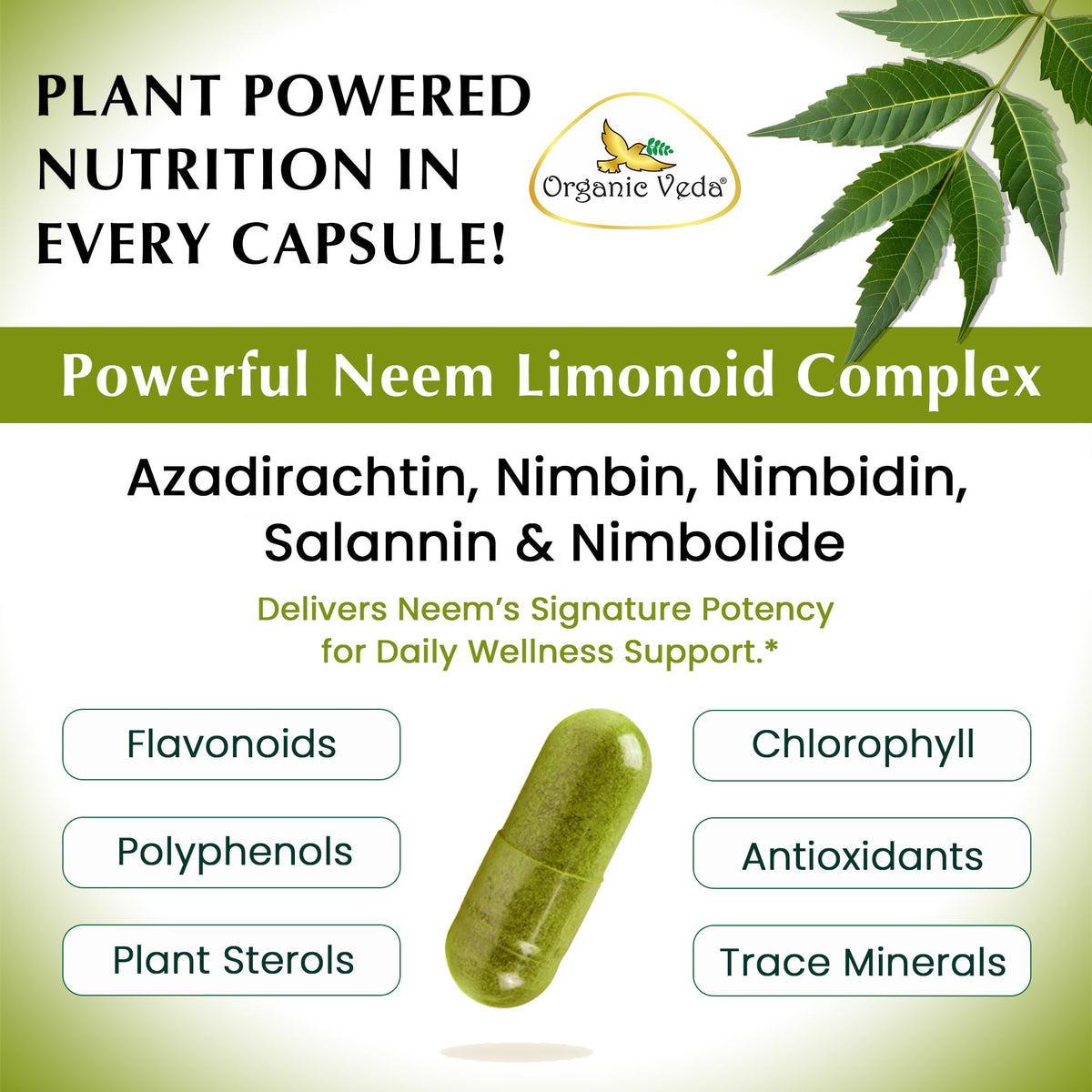 Bouteille de capsules de neem Organic Veda avec un verre d'eau