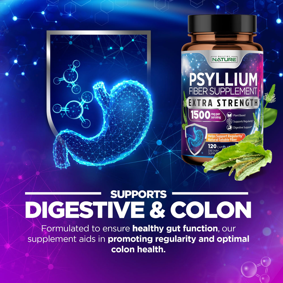 Bouteille de capsules de psyllium avec étiquette visible