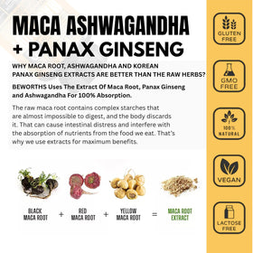 Bouteille de Capsules de Racine de Maca AlturaWise avec étiquette