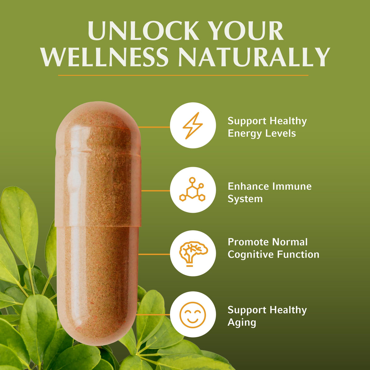 Bouteille de capsules de Shilajit Jiva Botanicals vue arrière