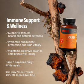 Bouteille de Chaga FreshCap avec capsules à côté