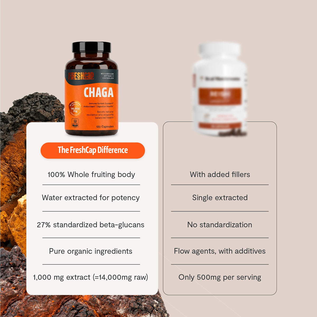 Bouteille de Chaga FreshCap sur un comptoir de cuisine