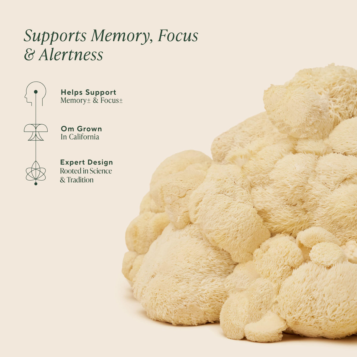 Bouteille de Champignon Lion's Mane OM MUSHROOM SUPERFOOD sur fond blanc