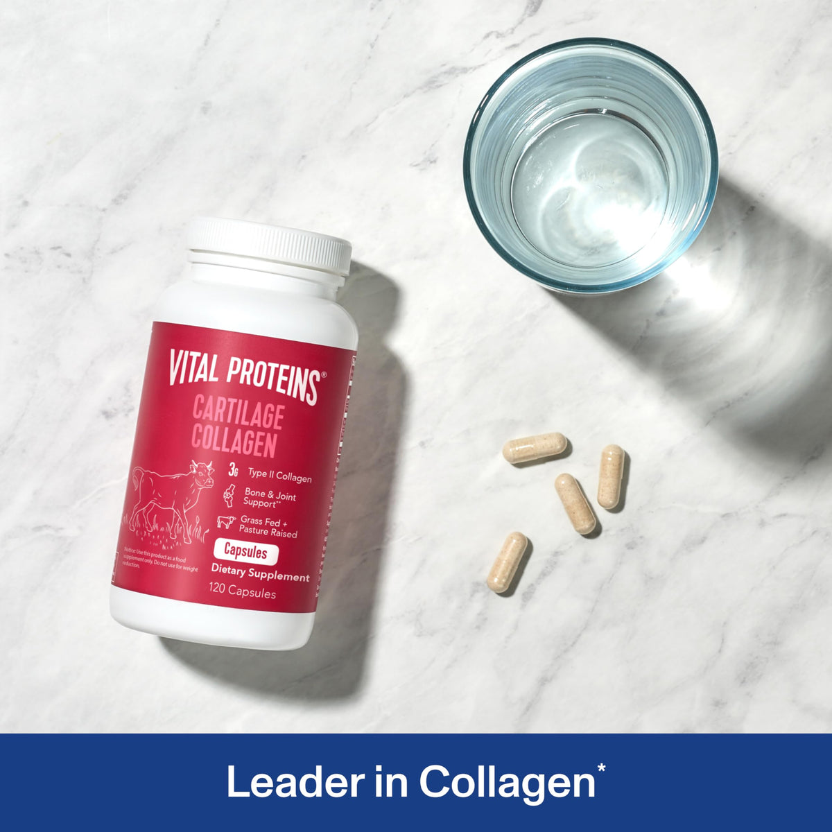 Bouteille de collagène de cartilage Vital Proteins avec étiquette