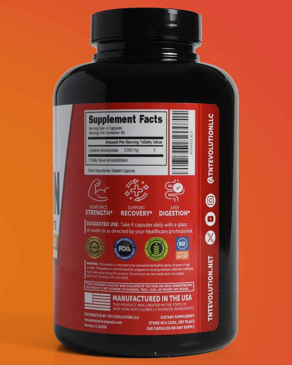 Bouteille de créatine monohydrate TNT Evolution sur une table de gym