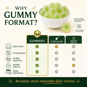 Bouteille de gummies Soursop Greenfold ouverte montrant les gummies