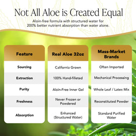 Bouteille de jus d'aloe vera bio à côté d'un smoothie