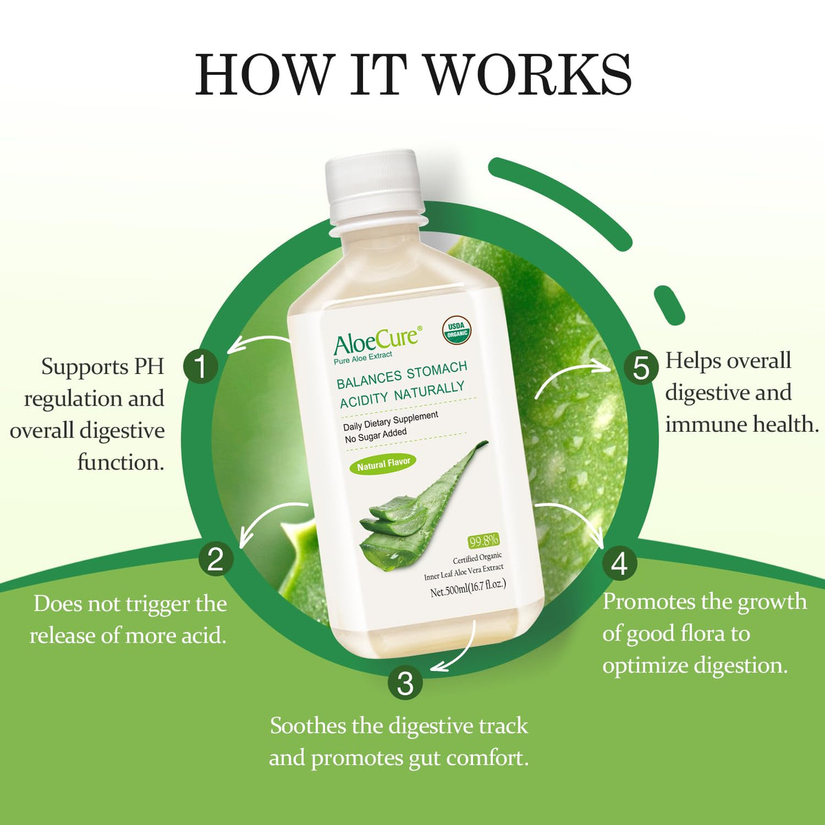 Bouteille de jus d'Aloe Vera bio AloeCure avec verre