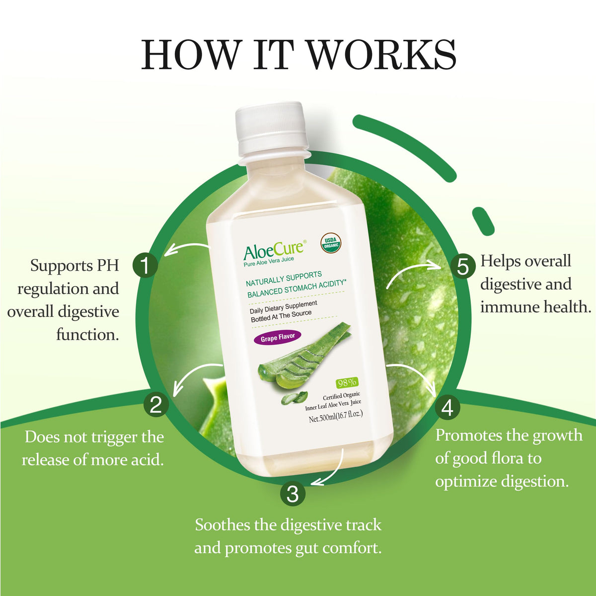 Bouteille de Jus d'Aloe Vera Bio AloeCure sur une table