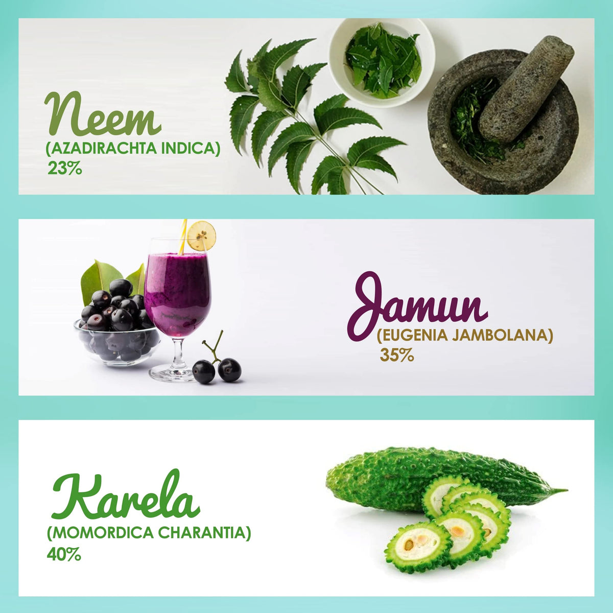 Bouteille de Jus de Neem Karela Jamun 500ml sur un fond naturel