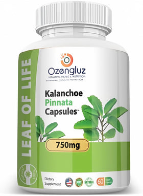 Bouteille de Kalanchoe Pinnata Ozengluz 60 capsules de 750 mg
