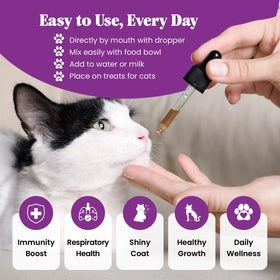 Bouteille de L-Lysine pour chats Special Breed avec ingrédients visibles