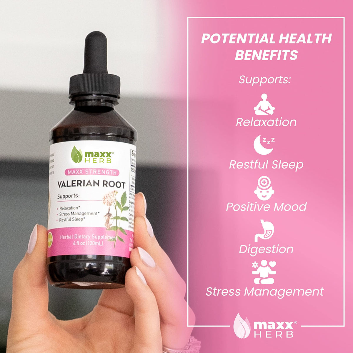 Bouteille de Maxx Herb Extrait Liquide de Racine de Valériane avec pipette