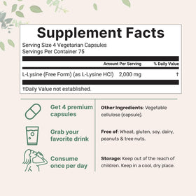 Bouteille de Micro Ingredients L-Lysine 2000mg avec étiquette visible