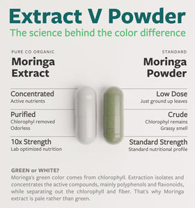 Bouteille de Moringa Bio PURE CO avec étiquette visible