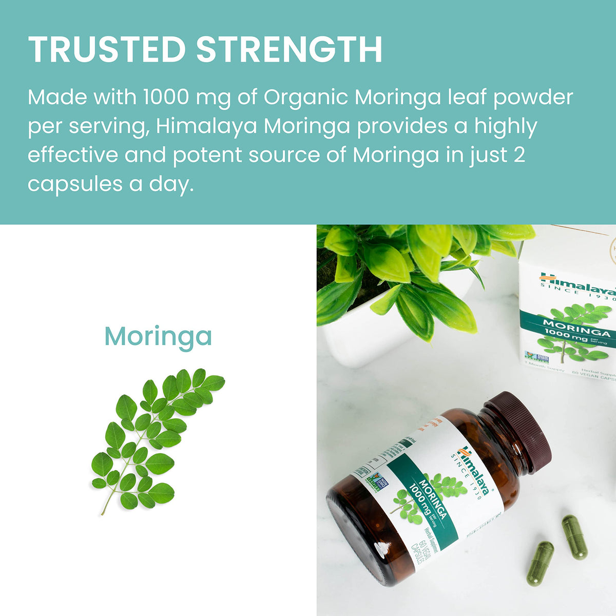 Bouteille de Moringa Himalaya sur un fond neutre