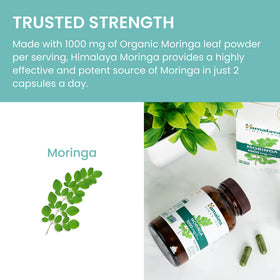 Bouteille de Moringa Himalaya sur un fond neutre