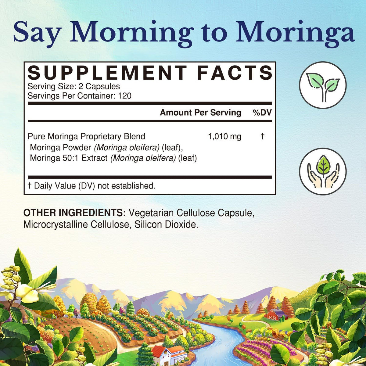 Bouteille de Moringa Vitalitown avec étiquette