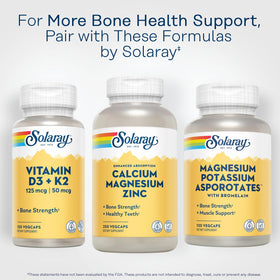 Bouteille de SOLARAY Calcium Magnesium Zinc avec des éléments naturels en arrière-plan