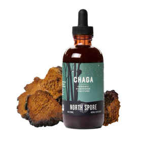 Bouteille de Teinture de Champignon Chaga Bio North Spore avec pipette