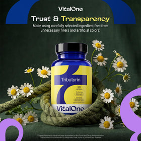Bouteille de VitalOne Tributyrin 250 mg sur fond neutre