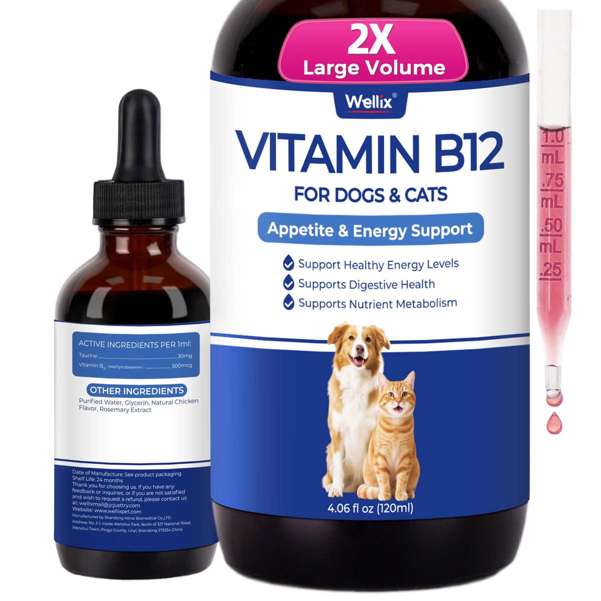 Bouteille de Wellix B12 liquide 120 ml vue de face