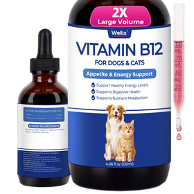 Bouteille de Wellix B12 liquide 120 ml vue de face