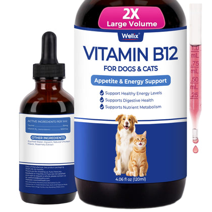Bouteille de Wellix B12 liquide 120 ml vue de face