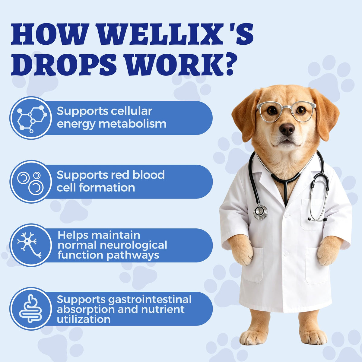 Bouteille de Wellix B12 liquide avec un animal à côté