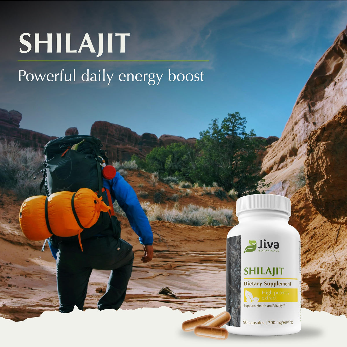 Bouteille des capsules de Shilajit Jiva Botanicals ouverte