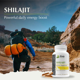 Bouteille des capsules de Shilajit Jiva Botanicals ouverte