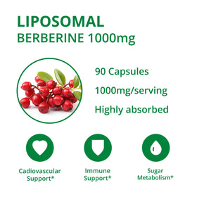 Bouteille UpNourish contenant 90 capsules de berbérine