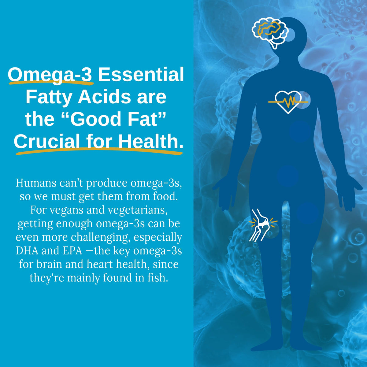 Bouteille Xtendlife Vegan Omega-3 de face