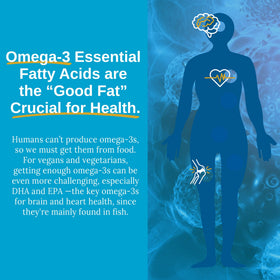 Bouteille Xtendlife Vegan Omega-3 de face