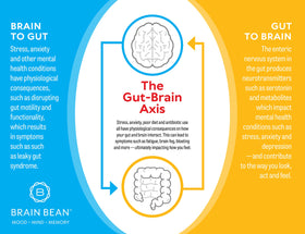 Brain Bean Complément Alimentaire Ultra Pur IgG 150g - mesure de poudre