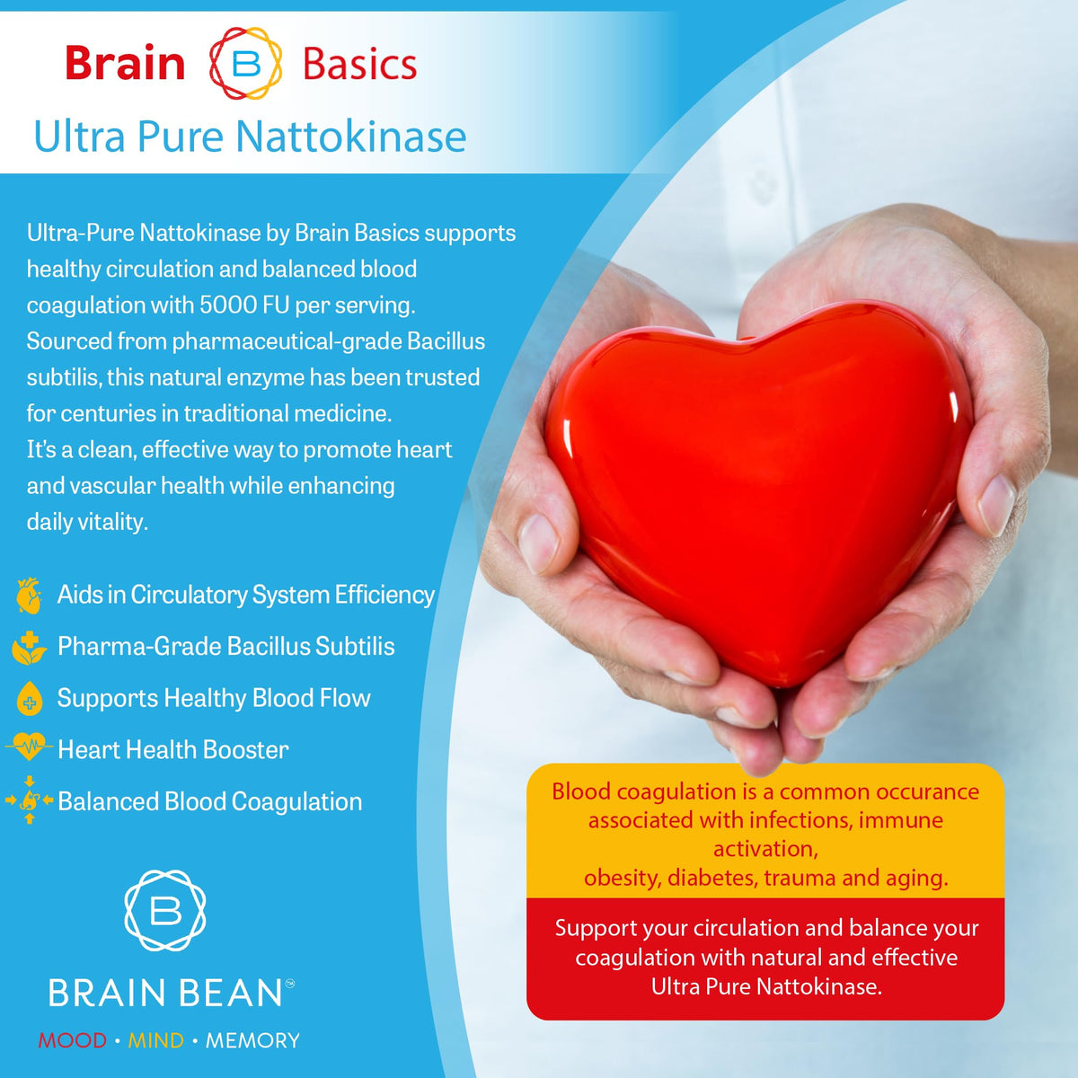Brain Bean Ultra-Pure Nattokinase 5000 FU capsules on a wooden table
