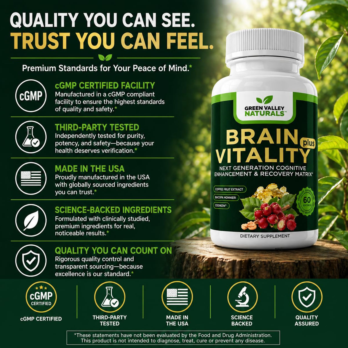 Brain Vitality Plus™ avec des ingrédients naturels en arrière-plan