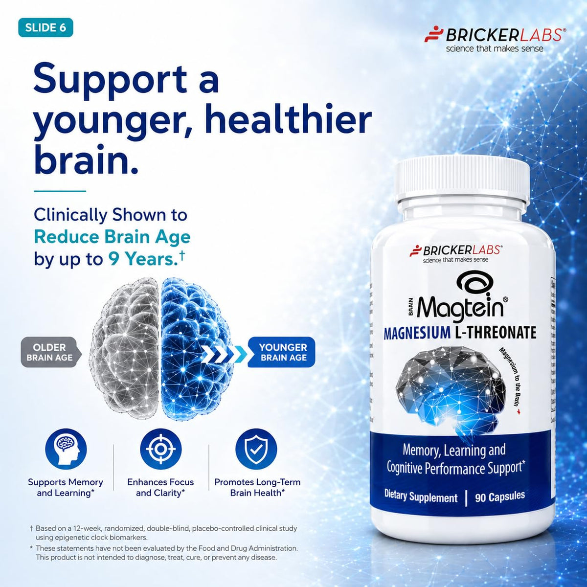 Bricker Labs Magtein avec un fond naturel