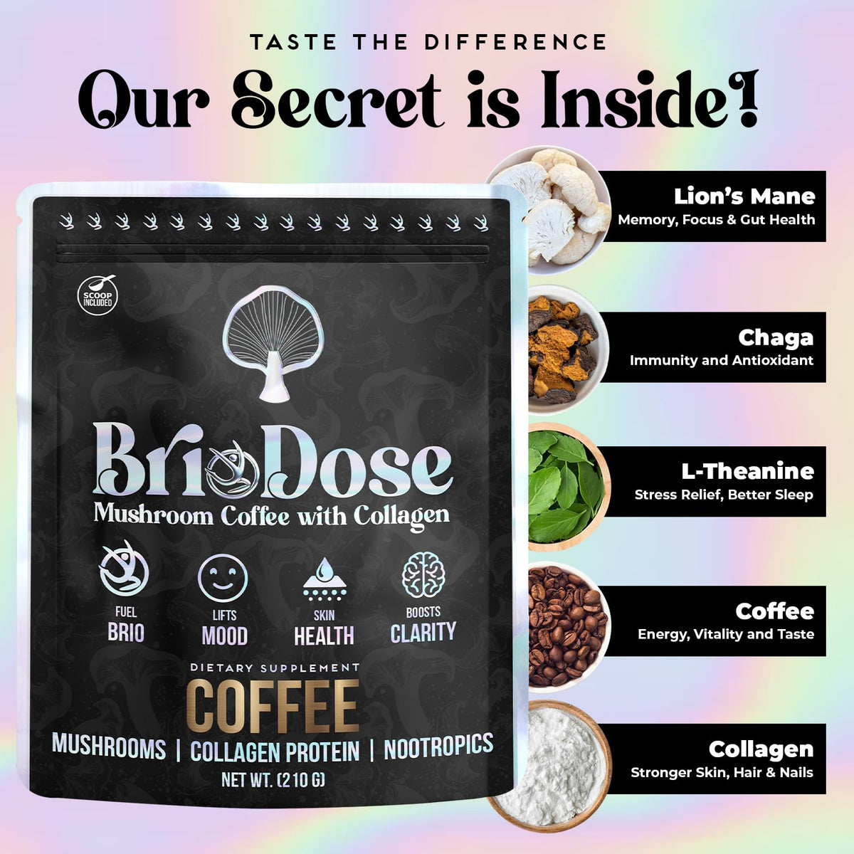 BRIODOSE MUSHROOM COFFEE avec collagène et champignons sur une table