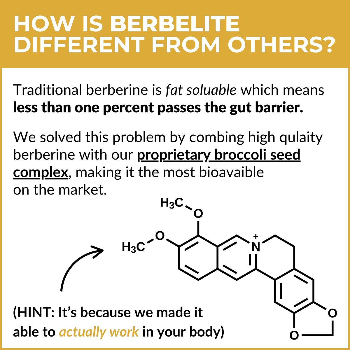 BrocElite BerbElite 350 mg sur une table en bois