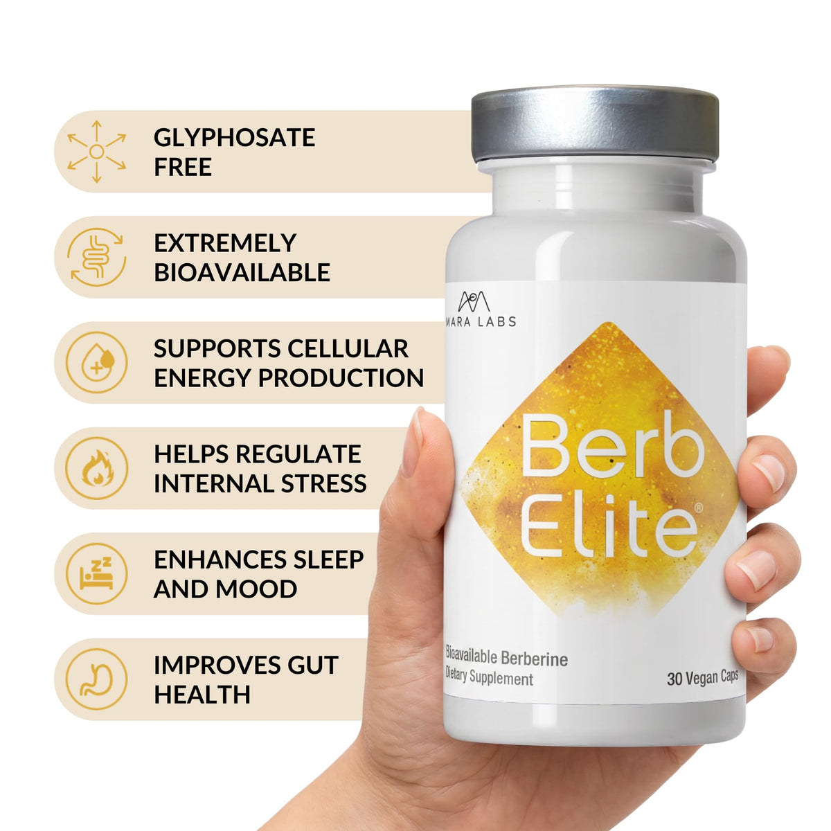 BrocElite BerbElite 350mg avec des capsules à côté