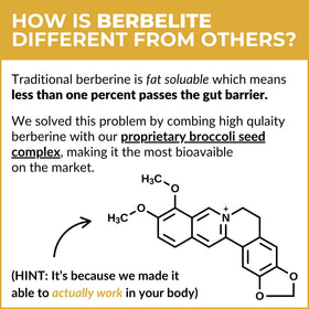 BrocElite BerbElite 350mg avec une cuillère et de l'eau