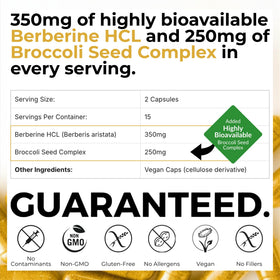 BrocElite BerbElite 350mg Berbérine HCL vue de côté